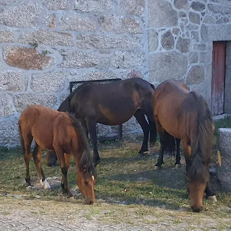 Σπίτι διακοπών Casinha Da Lu *