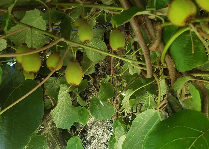 Casinha Da Lu Arcos de Valdevez