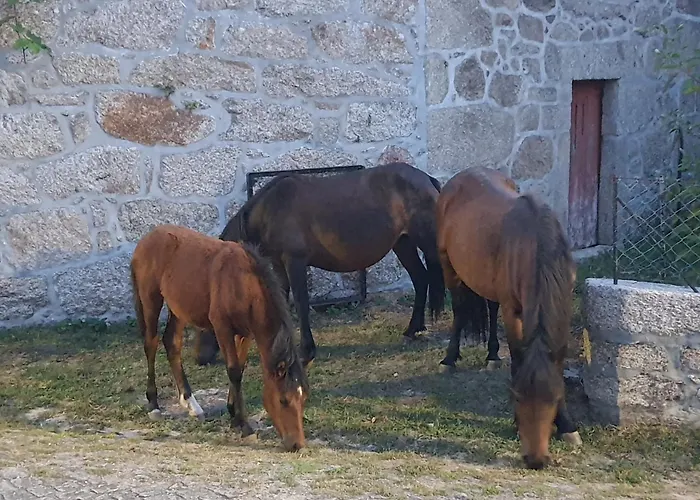 Feriehus Casinha Da Lu *